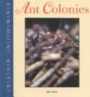 Cover of: Ant Colonies (Weingartz, Jill. Created Environments Series.)