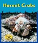 Cover of: Hermit Crabs (Schaefer, Lola M., Musty-Crusty Animals.)