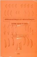 Cover of: Epipaleolithique et Mesolithique entre Seine et Rhin: Table ronde d'Ancerville 1989 (Serie Archeologie)