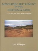 Mesolithic settlement in the North Sea Basin : a case study from Howick, North-East England