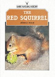 The red squirrel