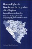 Human rights in Bosnia and Herzegovina after Dayton : from theory to practice