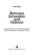 Cover of: Between Jerusalem and Hebron: Jewish settlement in the Hebron mountains and the Etzion Bloc in the pre₋state period