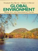 Cover of: Global Environment: Water, Air, and Geochemical Cycles