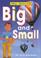 Cover of: Big and Small (My World)