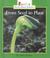 Cover of: From Seed to Plant (Rookie Read-About Science)