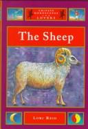 The sheep