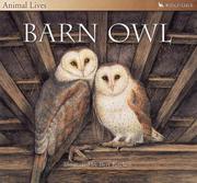 Cover of: Barn Owl (Animal Lives)