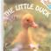 Cover of: Little Duck