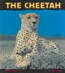 Cover of: Cheetah: Fast as Lightning (Animal Close-Ups (Turtleback))