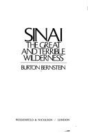 Cover of: Sinai by Burton Bernstein
