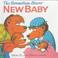 Cover of: The Berenstain Bears' New Baby (Berenstain Bears First Time Chapter Books)