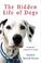 Cover of: The Hidden Life of Dogs