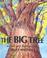 Cover of: Big Tree