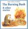Cover of: The Burning Bush & Other Stories (First Bible Stories)
