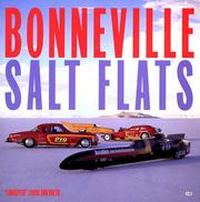 Bonneville Salt Flats by Louise Ann Noeth