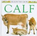 Calf