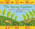 Cover of: Spring Equinox, The