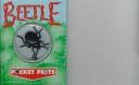 Cover of: Beetle