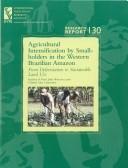 Cover of: Agricultural Intensification by Smallholders in the Western Brazilian Amazon: From Deforestation to Sustainable Land Use (Research Report (International Food Policy Research Institute), No. 130.)