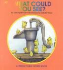 Cover of: What Could You See? (Predictable Word Books)