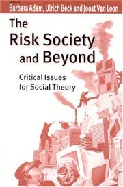 The risk society and beyond : critical issues for social theory