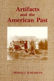 Artifacts and the American past