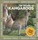 Cover of: The Wonder of Kangaroos (Animal Wonders)