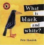 Cover of: What is black and white?
