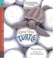 Cover of: One Tiny Turtle