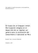 En busca de un lenguaje común : participación indígena en el desarrollo de un régimen sui generis para la protección del conocimiento tradicional en el Perú