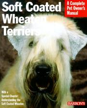 Soft coated wheaten terriers : everything about purchase, care, feeding, and housing