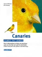 Canaries : how to keep them, feeding them correctly, understanding their behavior