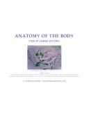 Cover of: Anatomy of the Body (CV Visual Arts Research S.)
