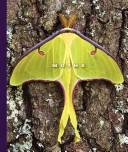 Cover of: Moths (The World of Insects)