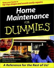 Cover of: Home Maintenance for Dummies by James Carey, Morris Carey