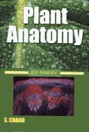 Cover of: Plant Anatomy by B.P. Pandey