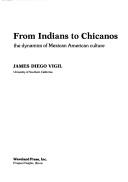Cover of: From Indians to Chicanos by James Diego Vigil