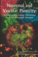 Neuronal and vascular plasticity : elucidating basic cellular mechanisms for future therapeutic discovery