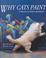 Cover of: Why cats paint