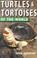 Cover of: Turtles & tortoises of the world