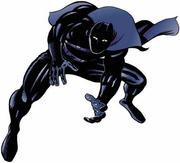 Cover of: Black Panther By Jack Kirby Volume 1 TPB