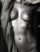 Nudes by B. Martin Pedersen, Sean Callahan, Annette Crandall, Heinke Jenssen