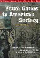 Youth gangs in American society