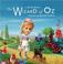 Cover of: The  wizard of Oz