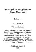 Investigations along Monnow Street, Monmouth