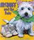 Cover of: McDuff and the Baby (McDuff Stories)