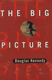 Cover of: The big picture