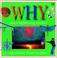 Cover of: Why Does Lightning Strike? --Why Books--