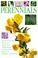 Cover of: Perennials